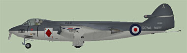 sea-hawk